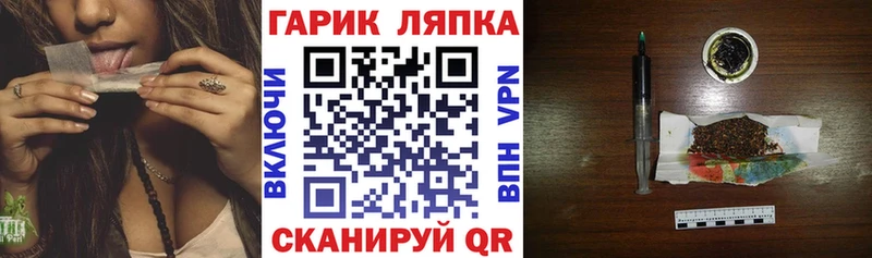 наркотики  Махачкала  Гашиш индика сатива 
