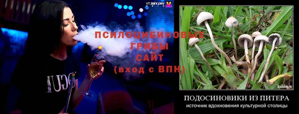 молекула духа Михайловка