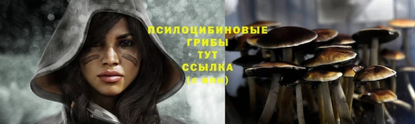 молекула духа Михайловка