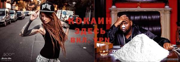 мдпв Михайловск