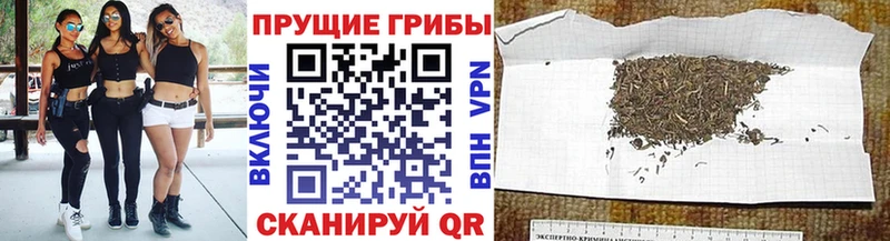ОМГ ОМГ Махачкала Псилоцибиновые грибы прущие грибы