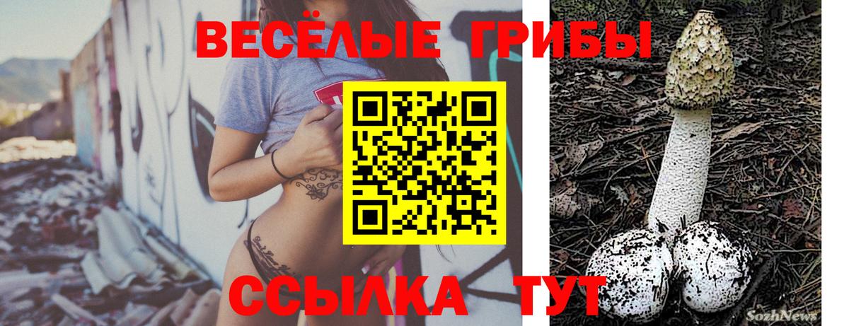 Галлюциногенные грибы GOLDEN TEACHER Махачкала