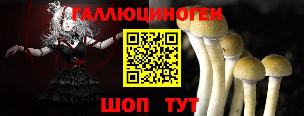 Махачкала  Псилоцибиновые грибы ЛСД  Вход с VPN 